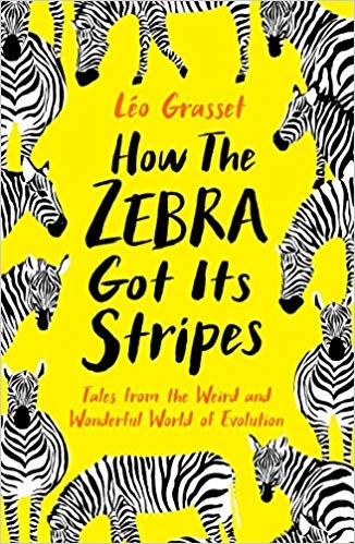 How the Zebra its Stripes: Tales from the Weird and Wonderful World of Evolution – Ouida Lagos