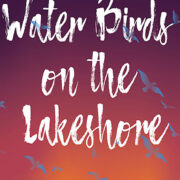 WaterBirds on the Lakeshore