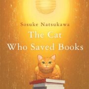 Better Than the Movies