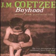 Boyhood