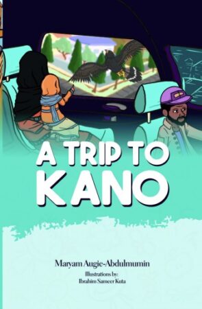 A Trip To Kano