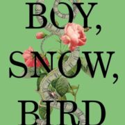 Boy Snow Bird