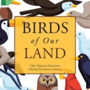 Birds Of Our Land