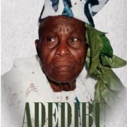 ADEDIBU: The Story and Generalism of Nigerian Politics