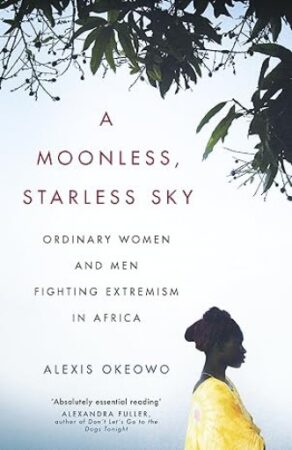 A Moonless Starless Sky