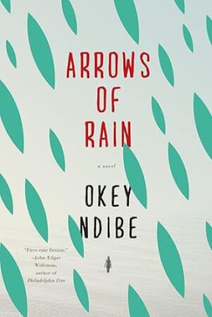 Arrows Of Rain