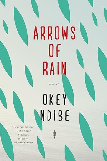 Arrows Of Rain