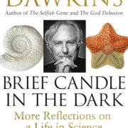 Brief Candle In The Dark