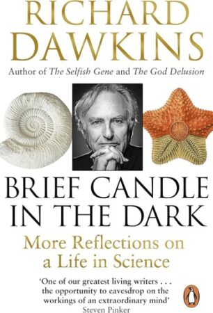 Brief Candle In The Dark