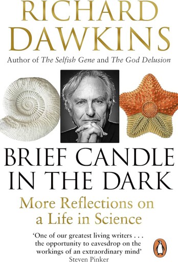 Brief Candle In The Dark
