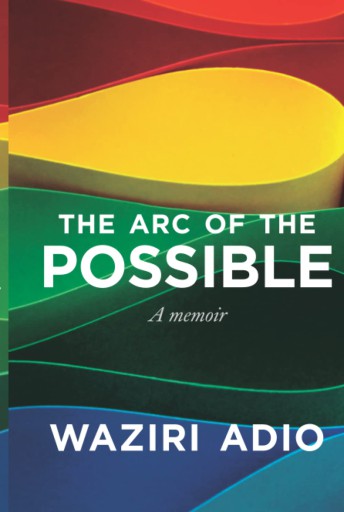 The Arc Of The Possible
