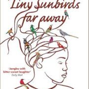 Tiny sunbirds far away