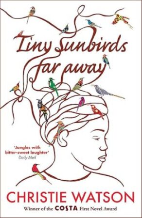Tiny sunbirds far away