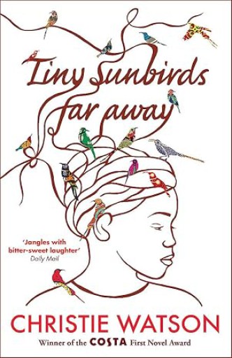 Tiny sunbirds far away