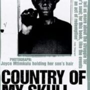Country of my skull