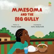 Mmesoma and the Big Gully